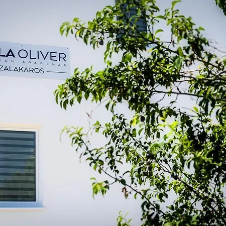 Oliver Apartment